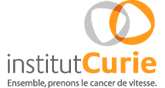 Institut Curie Institut Curie